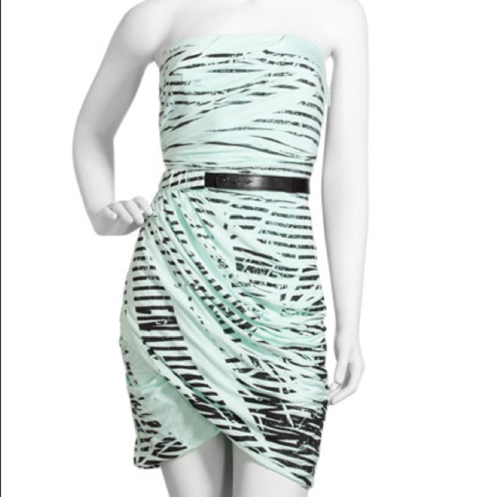 Elizabeth and James Strapless Stripe Dress